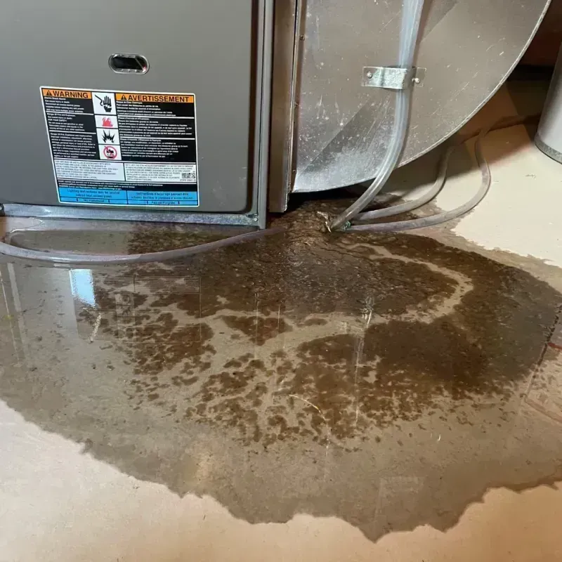 Appliance Leak Cleanup in Mountain Grove, MO